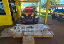 PRF apreende 284 Kg de maconha em São Gabriel do Oeste (MS) — Polícia Rodoviária Federal Imagem do WhatsApp de 2025-06-25 à(s) 12.44.00_37857467.jpg