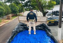 PRF apreende 3,5 toneladas de maconha em Eldorado (MS) — Polícia Rodoviária Federal Imagem do WhatsApp de 2025-06-06 à(s) 10.55.04_a30bf9f1.jpg