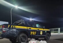 PRF apreende mais de 300 kg de Maconha em carreta, na BR 262 em Uberaba (MG) — Polícia Rodoviária Federal Maconha Uberaba Junho.jpg