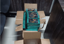 PRF apreende quase 60 kg de drogas escondidos em caminhão na BR-242, em Barreiras (BA) — Polícia Rodoviária Federal Sem título.png