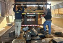 PRF apreende quase quatro toneladas de maconha em carretas na BR-277, em Catanduvas (PR) — Polícia Rodoviária Federal maconha