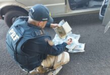PRF apreende tabletes de maconha escondidos em veículo durante fiscalização em Ourinhos — Polícia Rodoviária Federal WhatsApp Image 2025-06-26 at 13.17.10.jpeg