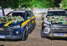 PRF, em ação conjunta com PMCE, apreende 145,5 kg de pasta base de cocaína — Polícia Rodoviária Federal 72863ef6-af3c-4b9b-9864-96891eb60930.jpeg