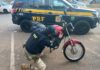 PRF flagra motocicleta com quase R$ 200 mil em débitos — Polícia Rodoviária Federal WhatsApp Image 2025-06-13 at 17.33.05.jpeg