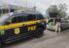 PRF prende 3 homens após saque de carga na BR 381 em Ribeirão Vermelho (MG) — Polícia Rodoviária Federal Carga saqueada recuperada Perdões.jpg