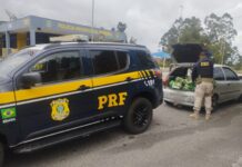 PRF prende 3 homens após saque de carga na BR 381 em Ribeirão Vermelho (MG) — Polícia Rodoviária Federal Carga saqueada recuperada Perdões.jpg