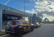 PRF recupera 200 pacotes de lenços umedecidos saqueados de veículo acidentado na BR 381 em MG — Polícia Rodoviária Federal Saque de Carga Lavras.jpg