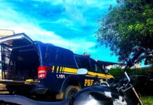 Sem capacete, alcoolizado e com motocicleta roubada, condutor acaba preso em Cruz das Almas (BA) — Polícia Rodoviária Federal WhatsApp Image 2025-06-22 at 16.12.31.jpeg