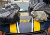 homem é preso com quase 50 quilos de skunk em Imbituba — Polícia Rodoviária Federal 1.jpg