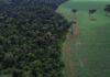 Brics: financiamento climático é responsabilidade de países ricos Brics: financiamento climático é responsabilidade de países ricos