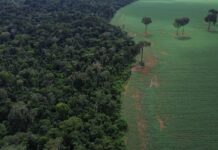 Brics: financiamento climático é responsabilidade de países ricos Brics: financiamento climático é responsabilidade de países ricos