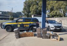 Casal é detido com mais de 230 quilos de maconha e anabolizantes em Santa Catarina — Polícia Rodoviária Federal WhatsApp Image 2025-07-23 at 16.41.16 (1).jpeg