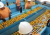 Confira a lista de quase 700 produtos que não serão taxados pelos EUA Confira a lista de quase 700 produtos que não serão taxados pelos EUA