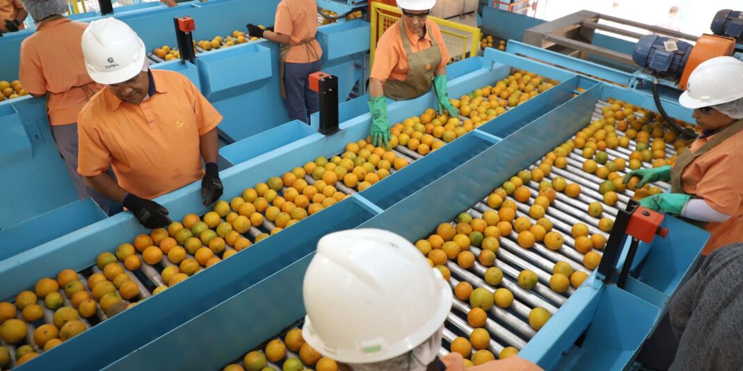 Confira a lista de quase 700 produtos que não serão Confira a lista de quase 700 produtos que não serão taxados pelos EUA