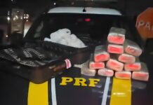 PRF apreende 12 quilos de skunk em ônibus interestadual na BR-222 — Polícia Rodoviária Federal WhatsApp Image 2025-07-10 at 23.46.52.jpeg