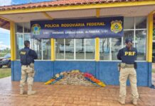 PRF apreende 134 kg de skunk escondidos em pneus de carreta em Altamira/PA — Polícia Rodoviária Federal Imagem do WhatsApp de 2025-07-08 à(s) 14.36.40_be1b3079.jpg