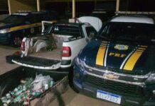 PRF apreende 34 Kg de skunk em Bataguassu (MS) — Polícia Rodoviária Federal PRF apreende 34 Kg de skunk em Bataguassu (MS)