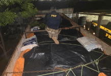 PRF apreende 6 toneladas de queijo transportado irregularmente em sacos de adubo e sem refrigeração em Caxias (MA) — Polícia Rodoviária Federal 2.png