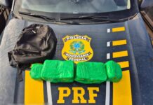 PRF apreende 6kg de drogas na BR-174 em Iracema/RR — Polícia Rodoviária Federal PRF apreende 6kg de drogas na BR-174 em Iracema/RR — Polícia Rodoviária Federal