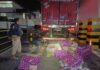 PRF apreende aproximadamente 400 kg de Maconha em carregamento de carne na BR 262 em MG — Polícia Rodoviária Federal Maconha Noe Juatuba.jpg