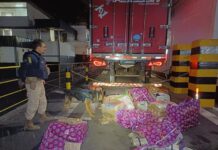 PRF apreende aproximadamente 400 kg de Maconha em carregamento de carne na BR 262 em MG — Polícia Rodoviária Federal Maconha Noe Juatuba.jpg