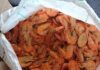 PRF apreende mais de 1,3 tonelada de pescado impróprio para consumo em ônibus na BR-343, em Piripiri/PI — Polícia Rodoviária Federal WhatsApp Image 2025-07-04 at 13.23.27.jpeg
