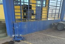 PRF auxilia no resgate a uma Arara-azul ferida em rodovia federal — Polícia Rodoviária Federal WhatsApp Image 2025-07-03 at 10.04.33.jpeg