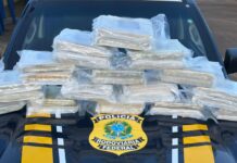 PRF em Rondônia apreende quase 33 kg de maconha em ônibus — Polícia Rodoviária Federal ocorrência 33 kg.jpeg