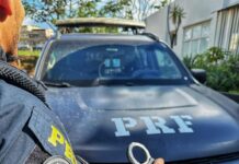 PRF recupera veículo e prende suspeita de estelionato — Polícia Rodoviária Federal WhatsApp Image 2025-01-30 at 17.01.30.jpeg