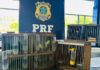 PRF resgata 14 aves silvestres durante fiscalização a ônibus interestadual na BR-116, em Jequié (BA) — Polícia Rodoviária Federal WhatsApp Image 2025-07-23 at 16.05.47.jpeg
