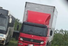 Caminhão roubado é localizado pela PRF em Inhambupe (BA), após denúncia da vítima — Polícia Rodoviária Federal Imagem do WhatsApp de 2025-08-27 à(s) 17.00.38_5db451e6.jpg