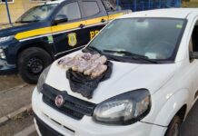 PRF apreende 10 pacotes de Skunk dentro de veículo na BR 381 em Sabará (MG) — Polícia Rodoviária Federal Skunk Sabará .jpg