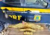 PRF apreende 103 kg de ouro irregular em Roraima — Polícia Rodoviária Federal Imagem do WhatsApp de 2025-08-04 à(s) 17.06.01_ac70628e.jpg