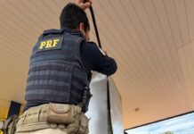 PRF apreende 202,6 Kg de maconha em Dourados (MS) — Polícia Rodoviária Federal PRF apreende 202,6 Kg de maconha em Dourados (MS)