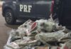 PRF apreende 28 kg de haxixe na BR-060 em Goiás — Polícia Rodoviária Federal WhatsApp Image 2025-08-17 at 19.43.38.jpeg