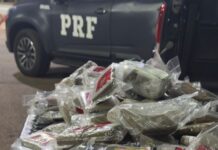 PRF apreende 28 kg de haxixe na BR-060 em Goiás — Polícia Rodoviária Federal WhatsApp Image 2025-08-17 at 19.43.38.jpeg