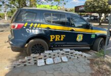 PRF apreende 52 tabletes de maconha em Sinop (MT) — Polícia Rodoviária Federal WhatsApp Image 2025-08-24 at 18.54.19.jpeg