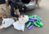 PRF apreende 88 kg de maconha e prende condutor na BR-262, em Viana/ES — Polícia Rodoviária Federal WhatsApp Image 2025-08-01 at 10.32.59.jpeg