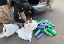 PRF apreende 88 kg de maconha e prende condutor na BR-262, em Viana/ES — Polícia Rodoviária Federal WhatsApp Image 2025-08-01 at 10.32.59.jpeg
