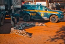 PRF apreende carga de cocaína escondida em pneus de carreta em Várzea Grande (MT) — Polícia Rodoviária Federal WhatsApp Image 2025-08-08 at 19.14.39.jpeg