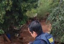 PRF apreende cerca de 850 mil maços de cigarros contrabandeados em Maracaju (MS) — Polícia Rodoviária Federal PRF apreende cerca de 850 mil maços de cigarros contrabandeados em Maracaju (MS)