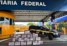 PRF apreende mais de meia tonelada de cocaína na BR-343 em Piripiri/PI — Polícia Rodoviária Federal WhatsApp Image 2025-08-13 at 14.34.52.jpeg
