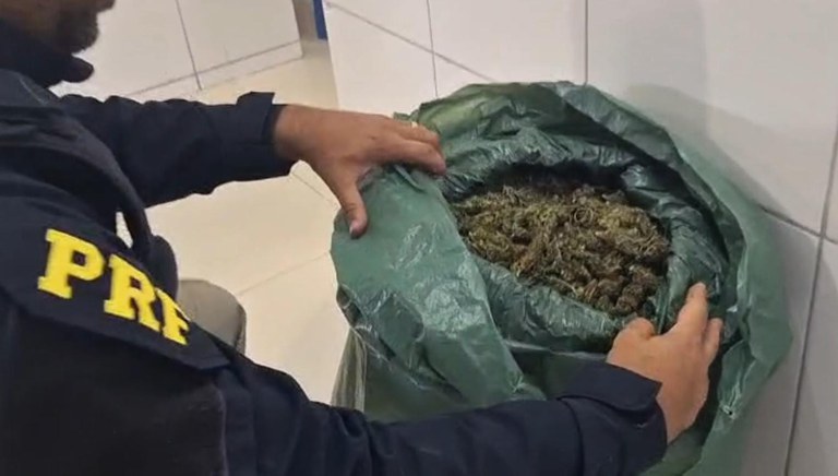 PRF detém motorista inabilitado com 13 Kg de maconha em PRF detém motorista inabilitado com 13 Kg de maconha em Petrolina