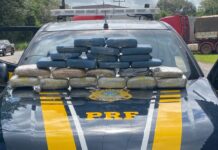 PRF e SEFA/PA apreendem 23 kg de maconha durante fiscalização na BR-316, em Cachoeira do Piriá/PA — Polícia Rodoviária Federal WhatsApp Image 2025-08-01 at 11.35.16.jpeg