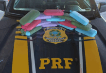 PRF em Rondônia apreende aproximadamente 16 kg de cocaína em carro batido — Polícia Rodoviária Federal Droga apreendida dentro de veículo em cegonha.png
