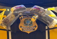 PRF prende 3 pessoas por tráfico de drogas em 1 dia no estado. — Polícia Rodoviária Federal d5c28770-4ba2-4a38-a013-35a495400b89.jpg