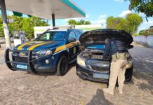 PRF recupera veículo roubado com sinais adulterados em Teresina (PI) — Polícia Rodoviária Federal PRF recupera veículo roubado com sinais adulterados em Teresina (PI) — Polícia Rodoviária Federal