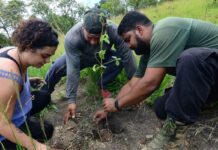 Rio: mutirão na Serra do Vulcão promove ações climáticas da periferia Rio: mutirão na Serra do Vulcão promove ações climáticas da periferia
