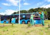 Salvador avança com novo plantio de árvores ao longo do BRT – Secretaria de Comunicação Salvador avança com novo plantio de árvores ao longo do BRT – Secretaria de Comunicação