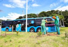 Salvador avança com novo plantio de árvores ao longo do BRT – Secretaria de Comunicação Salvador avança com novo plantio de árvores ao longo do BRT – Secretaria de Comunicação